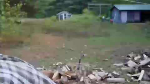 longtimerambler online show from 11, 10, 2025