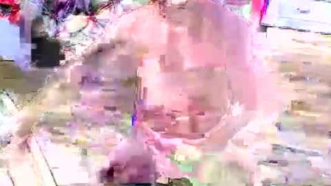 Snapshot of look4fun316 chatting on 4, 11, 2025 look4fun316 online show from 4, 11, 2025