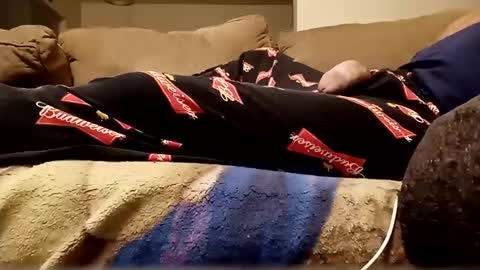 looking4bush online show from 11, 10, 2025