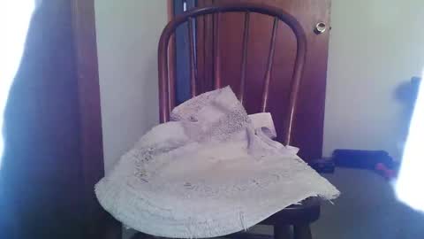 lookingforcougars500 online show from 1, 11, 2025