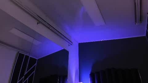 L A U R E L online show from 4, 7, 2026