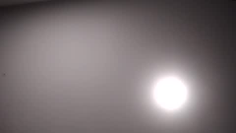 lorena online show from 12, 12, 2024