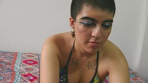 lotto_bloom online show from 4, 2, 2026