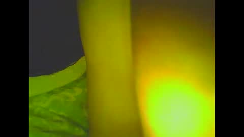 PleasureX online show from 6, 3, 2025