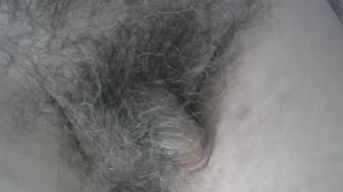 Snapshot of loveabush49 chatting on 5, 11, 2025 loveabush49 online show from 5, 11, 2025