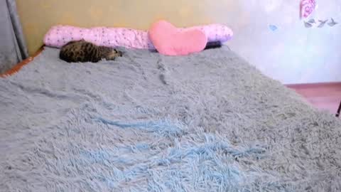 Snapshot of loveboys1993 chatting on 1, 1, 2025 cat-girl online show from 1, 1, 2025
