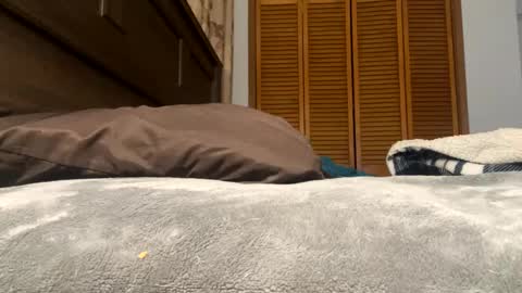 Amber online show from 12, 2, 2025