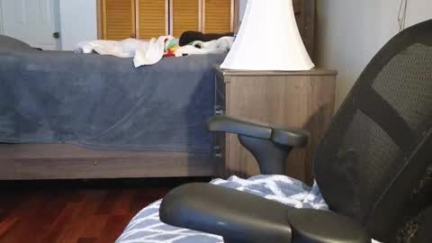 Amber online show from 3, 11, 2025