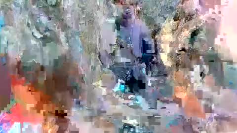 alexa alice jane daisy online show from 8, 3, 2025