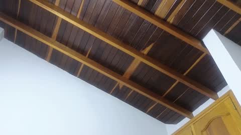 Trix online show from 20, 1, 2025