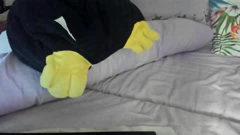 Snapshot of lovelywoman23 chatting on 17, 11, 2025 lovelywoman23 online show from 17, 11, 2025