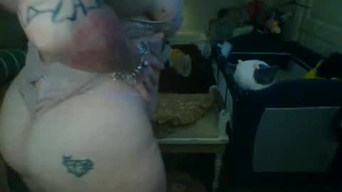 Snapshot of lovetubes101 chatting on 3, 10, 2025 lovetubes101 online show from 3, 10, 2025