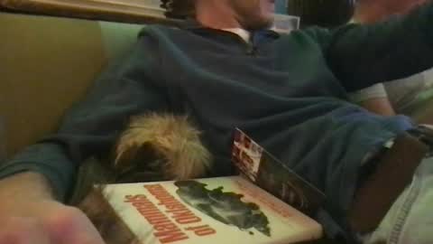 Snapshot of lovhrypecs chatting on 27, 12, 2024 Lovhrypecs online show from 27, 12, 2024