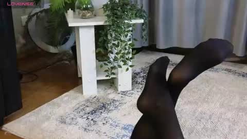 lowkeywild_ online show from 12, 6, 2026