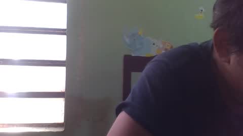 lpmauriciosantamaria online show from 5, 12, 2025