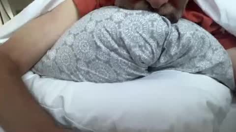 lqi online show from 16, 9, 2025