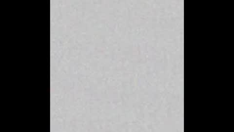 ShangAnon online show from 9, 3, 2025