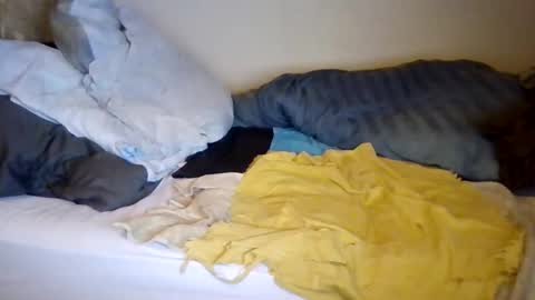 Snapshot of lu485947452685 chatting on 19, 12, 2025 lu485947452685 online show from 19, 12, 2025