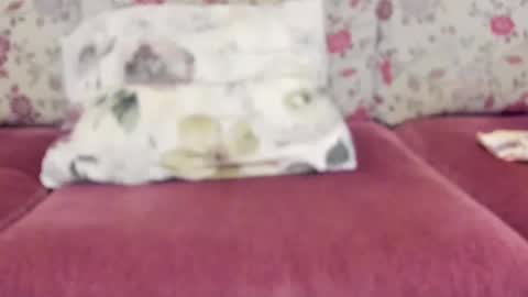 Mysterious Girl online show from 22, 12, 2024