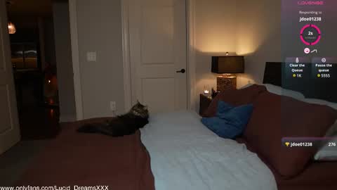 Lucid Lu online show from 15, 10, 2025