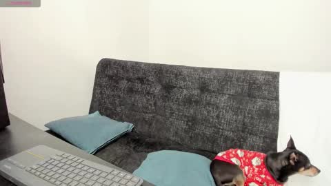 luci online show from 4, 12, 2025