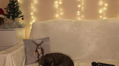 Katerina  online show from 25, 12, 2024