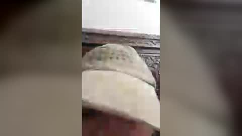 luckyfalcon2022 online show from 30, 6, 2026