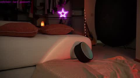 Snapshot of lucy_gooosey chatting on 13, 1, 2025 Lucy. online show from 13, 1, 2025