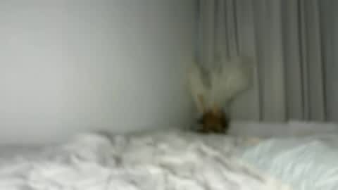 lucyforr online show from 1, 8, 2026