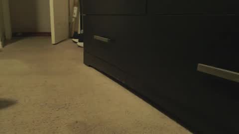 LUGO online show from 11, 4, 2026