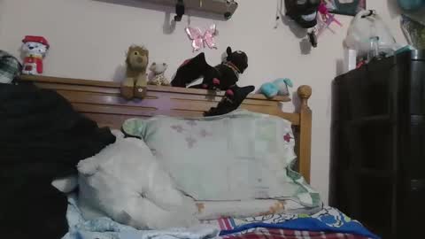 luismiastarot online show from 28, 10, 2025