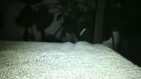 Luke online show from 17, 4, 2026