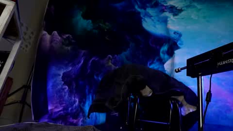 Snapshot of lukewilde chatting on 24, 2, 2025 lukewilde online show from 24, 2, 2025