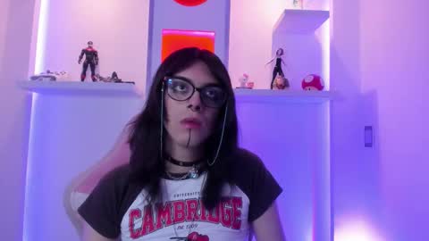 Cookie  online show from 8, 11, 2025