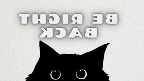 elizabeth online show from 28, 6, 2026