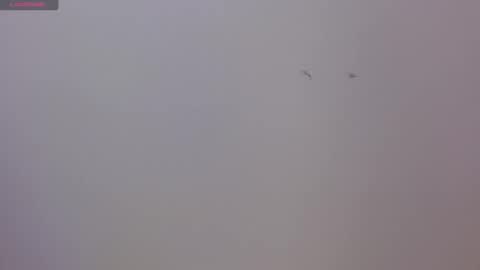 Luna and Rick online show from 17, 11, 2025