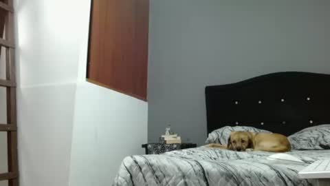 Snapshot of lunaperci chatting on 25, 2, 2025 emilyperci instagram online show from 25, 2, 2025