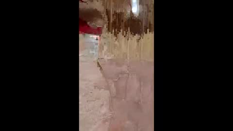 lustinaxxx online show from 14, 12, 2025