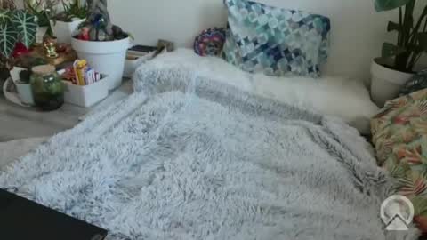 lustlnbalancevh online show from 19, 1, 2026