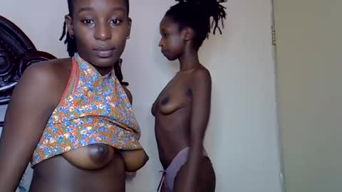 lutino_lovebirds online show from 14, 3, 2026