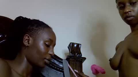 lutino_lovebirds online show from 13, 4, 2026