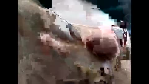 lutorres online show from 22, 11, 2025