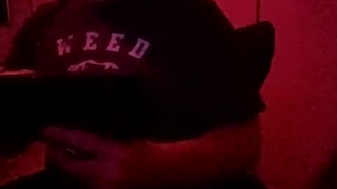 Snapshot of luv2toknstrok chatting on 3, 11, 2025 Luv2tokNstrok online show from 3, 11, 2025