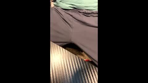 lvbbw23 online show from 22, 9, 2025