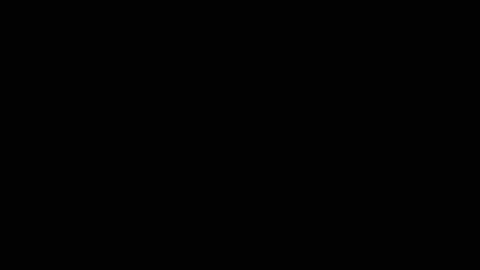 zzz online show from 11, 2, 2026