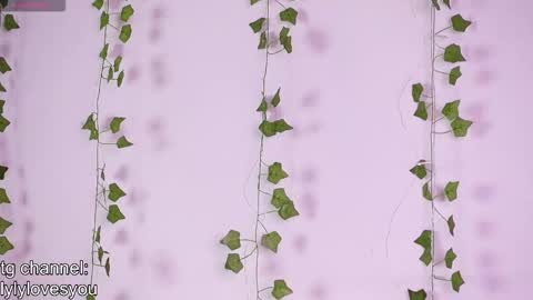 Snapshot of lyly_loveyou chatting on 18, 11, 2025 Lyly online show from 18, 11, 2025