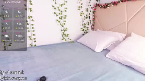 Snapshot of lyly_loveyou chatting on 2, 12, 2025 Lyly online show from 2, 12, 2025