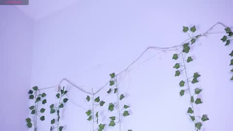 Snapshot of lyly_loveyou chatting on 12, 1, 2026 Lyly online show from 12, 1, 2026