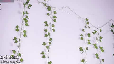 Snapshot of lyly_loveyou chatting on 13, 1, 2026 Lyly online show from 13, 1, 2026