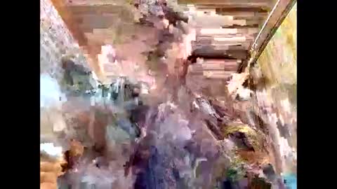 lyn_eva online show from 7, 3, 2026